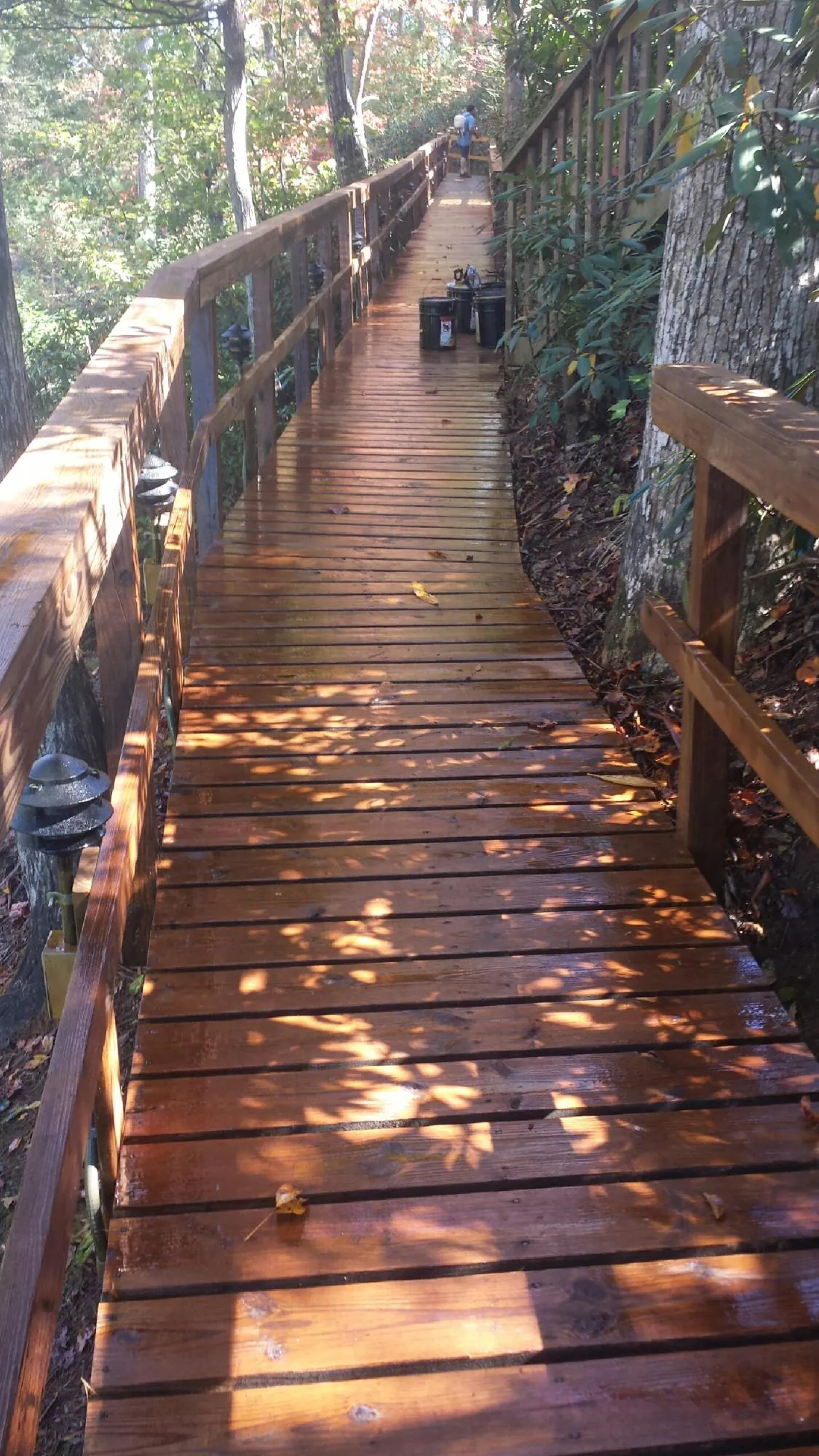 Freshly stained wood walkway winding through the woods in Fort Rock